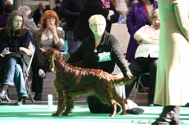 Crufts2011 750.jpg